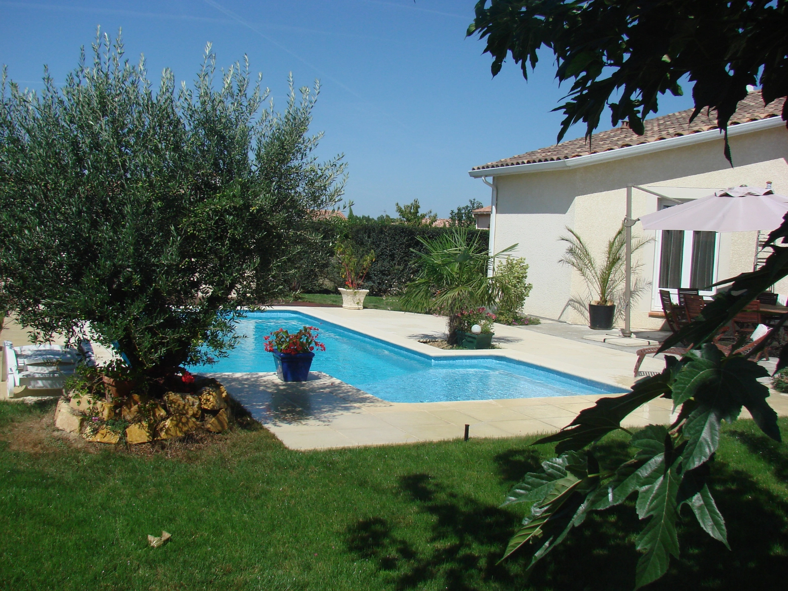 Piscine enterrée aux alentours arborés